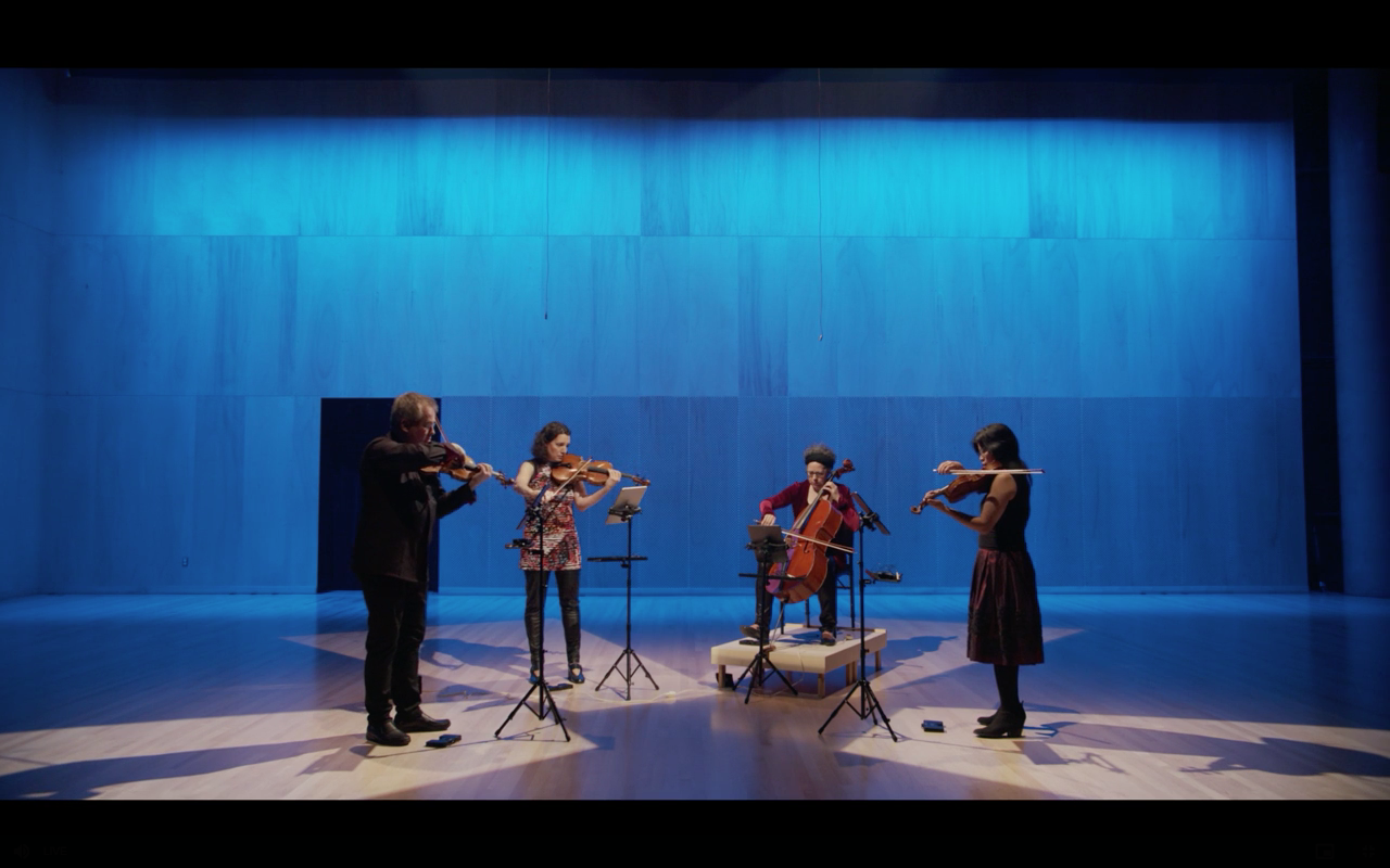 Quatuor Bozzini © Robin P Gould