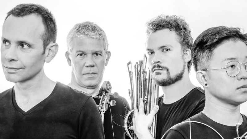 Quatuor Diotima