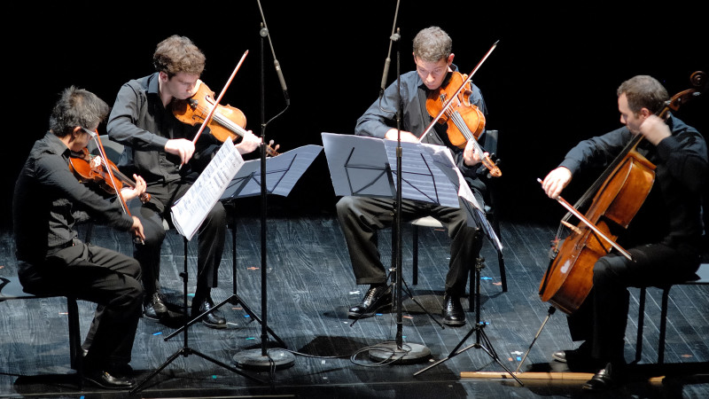 Quatuor Diotima